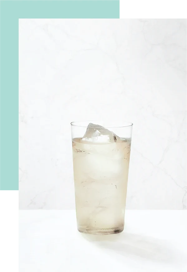 Cocktail Fizz con Ambrosia Gin