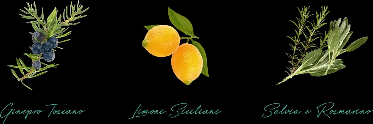 Botaniche della Day Edition: ginepro toscano, limoni siciliani, salvia e rosmarino