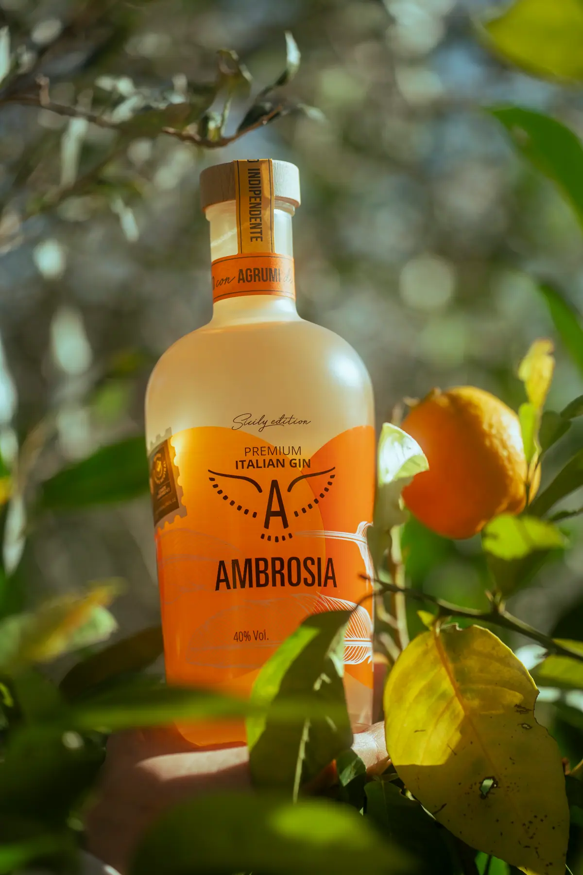 Ambrosia — dettaglio 2